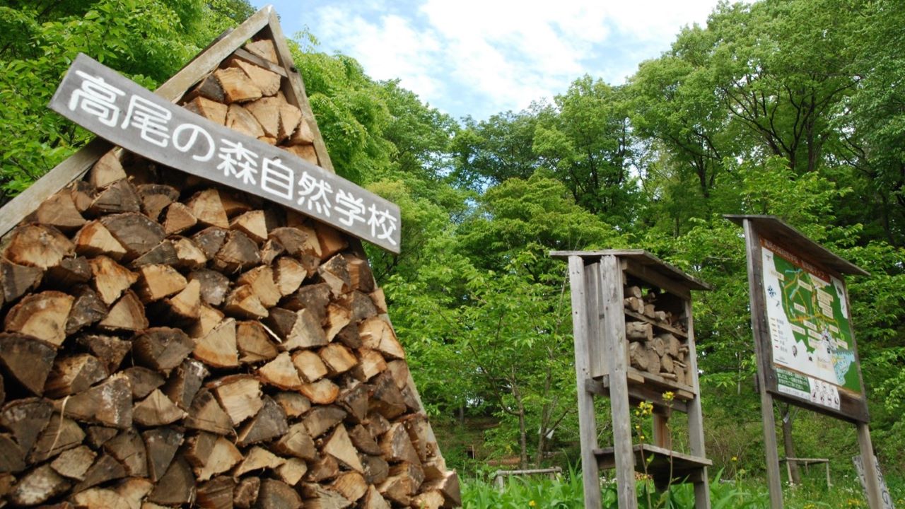 高尾の森自然学校