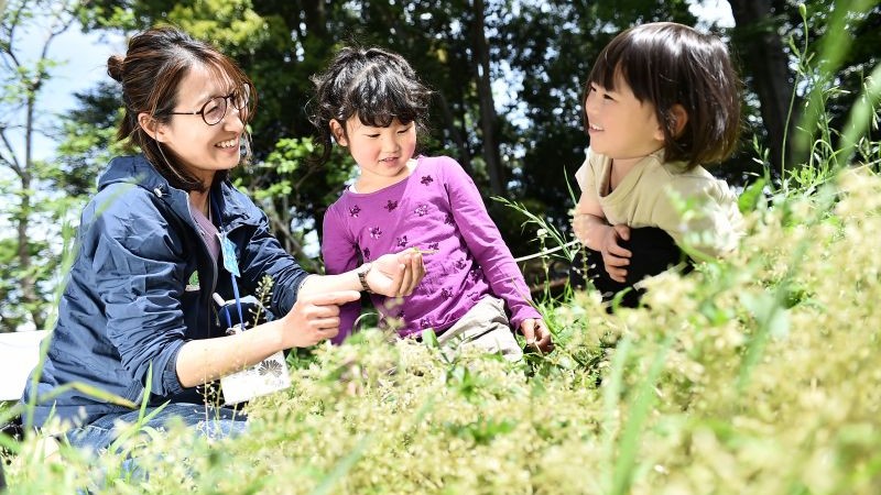 練馬区立中里郷土の森緑地