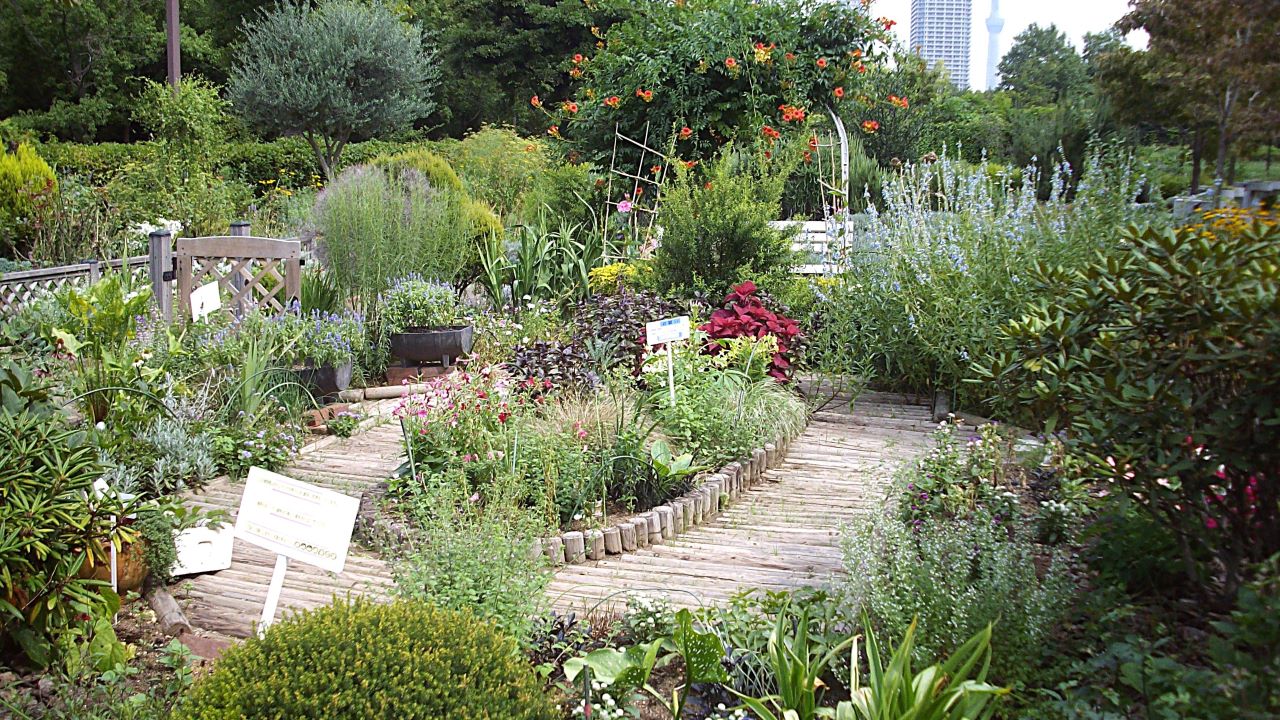都市緑化植物園(木場公園内)