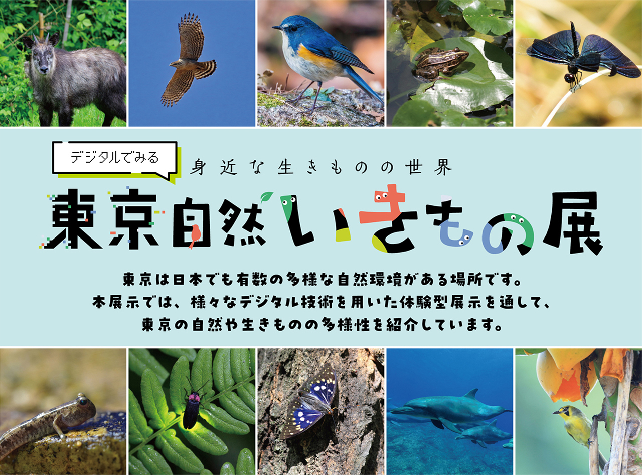 デジタルでみる東京自然いきもの展（4/15～5/8開催）