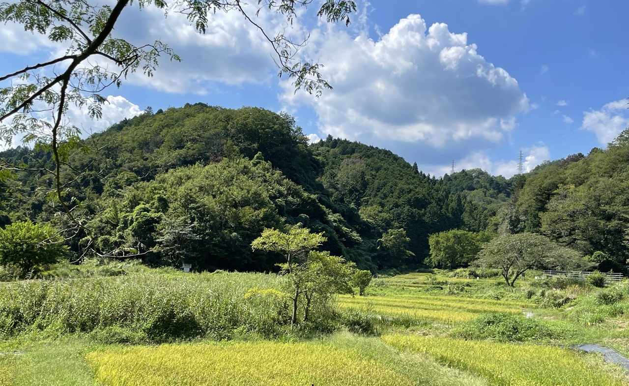 【全5回】里山へGO！通年プログラム（4/18, 5/16, 7/4, 10/3, 10/24開催）