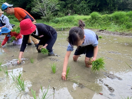東京の里山で米作り体験！～田植え編～（5/16開催）