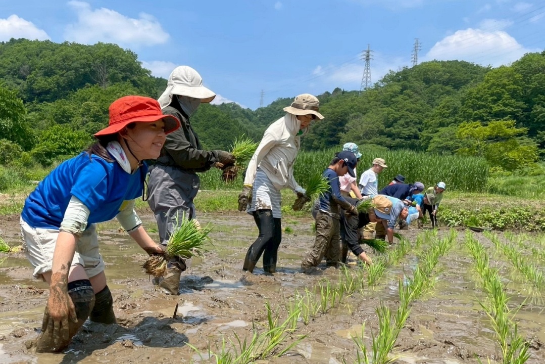 23区の小学生集まれ♪親子で学ぶ 田植えの自然体験プログラム「里山へGO!」(6/6開催)