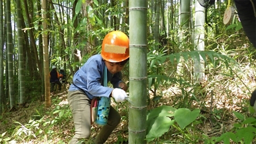 みんなで里山の風景をとりもどそう！（6/13開催）