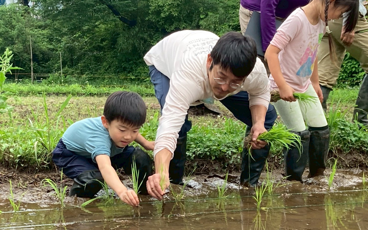 八王子で米作り体験！初夏の里山で田植えにチャレンジ！（6/28開催）