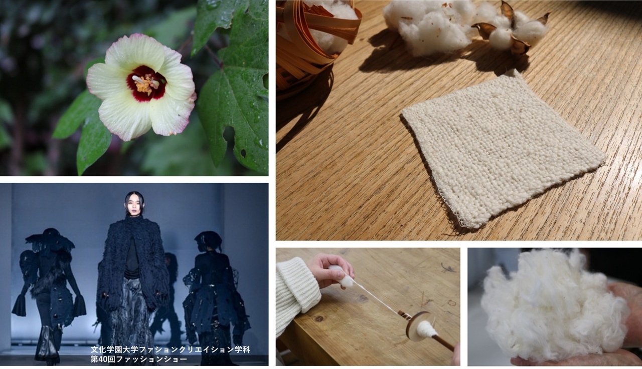 【全4回】服の素材を考える～コットンが製品になるまで～（5/24,6/13,11/8,2/20開催）