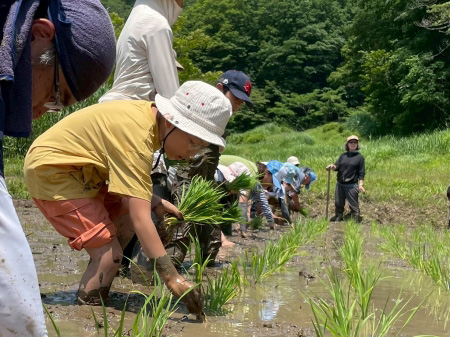 東京の里山で米作り体験！～田植えの季節到来！～（5/30開催）