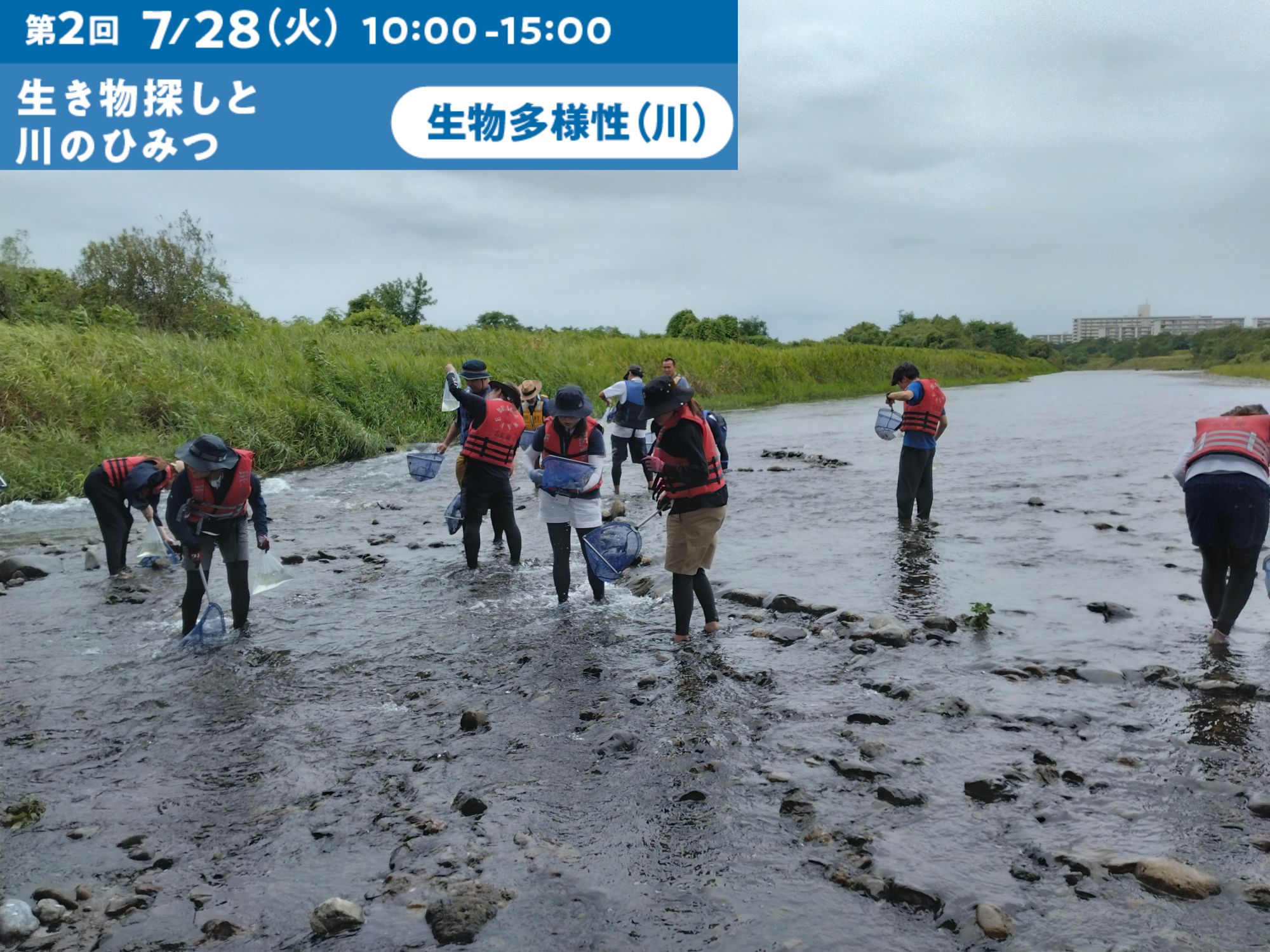 【小学校教員向け】環境教育研修会　第2回「生き物探しと川のひみつ」（7/28開催）