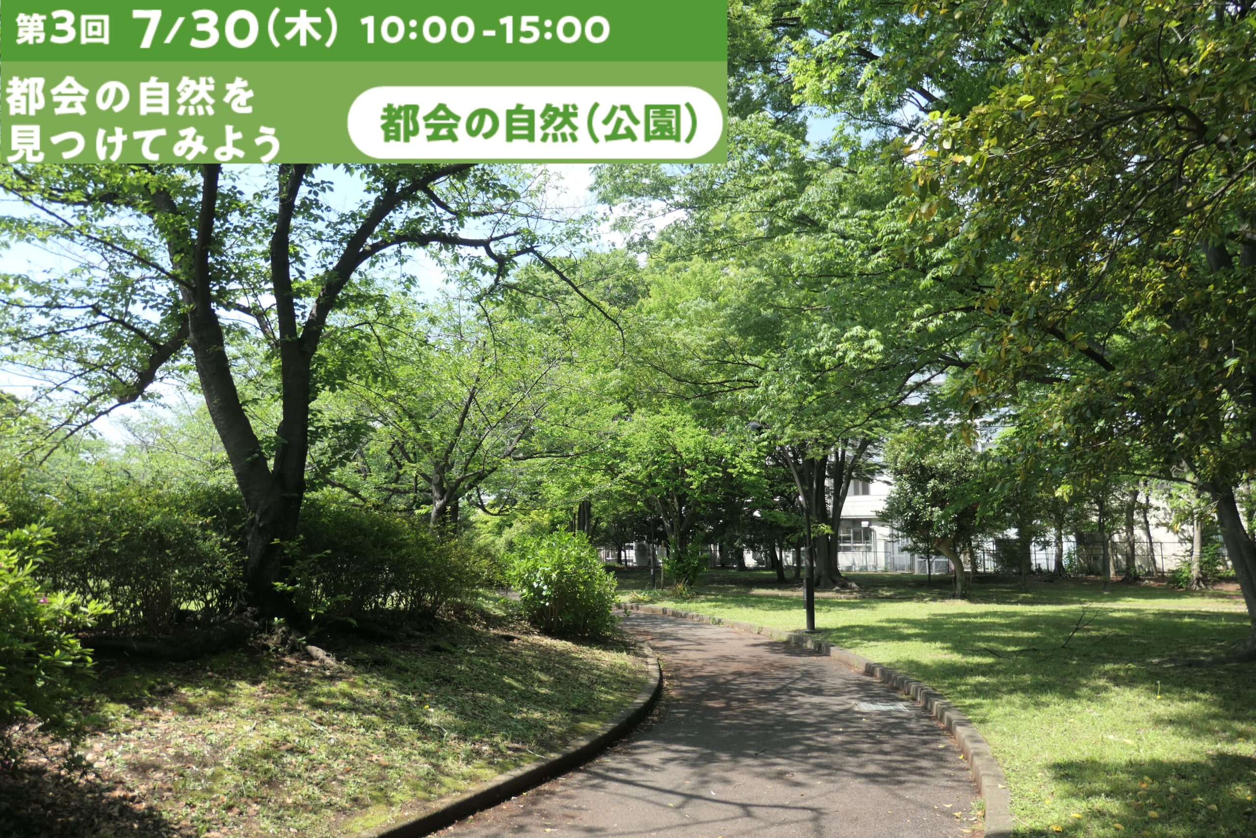 【小学校教員向け】環境教育研修会　第3回「都会の自然を見つけてみよう」（7/30開催）