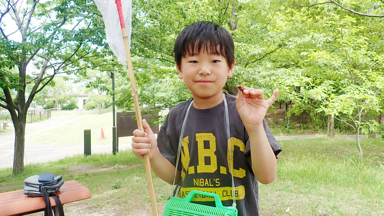 夏のバッタ大調査（8/23開催）
