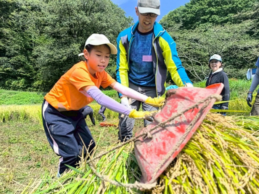 【里山へGO！初参加限定】東京の里山で米作り体験！ 秋の実りを収穫しよう！（9/26開催）【東京ポイント対象】
