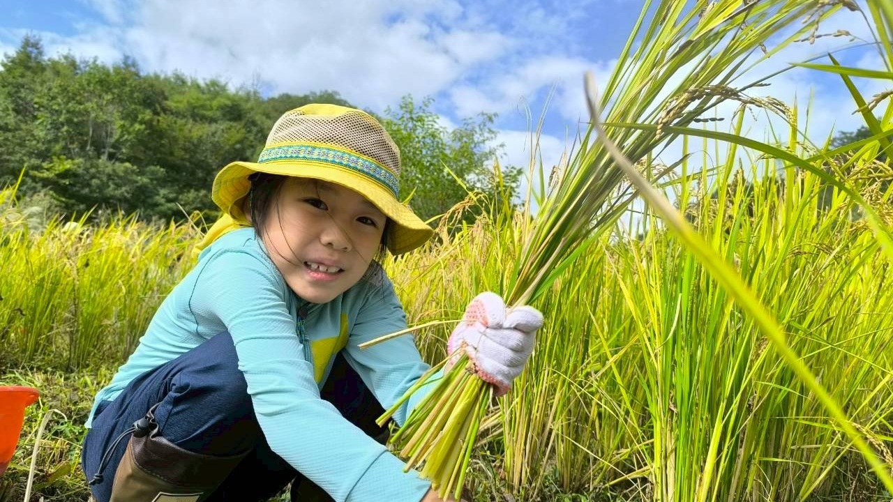 【小学生親子限定】小学生集まれ♪東京の里山で米作り体験！秋の実りを収穫しよう！（10/17開催）【東京ポイント対象】